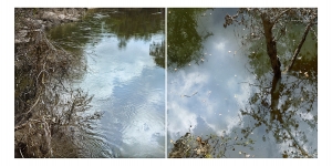 Path of the Dove