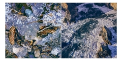 Maelstrom Maelstrom