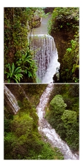 Cascades Cascades