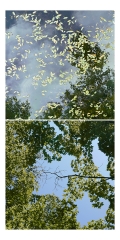 Points of View Points of View