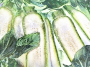 Zucchini and Basil Zucchini and Basil