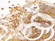lentils and onion lentils and onion