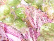 red endive and green grapes