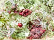 Brussels Sprouts and Pomegranate Seeds