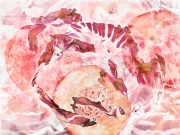 Nectarine and Raddichio